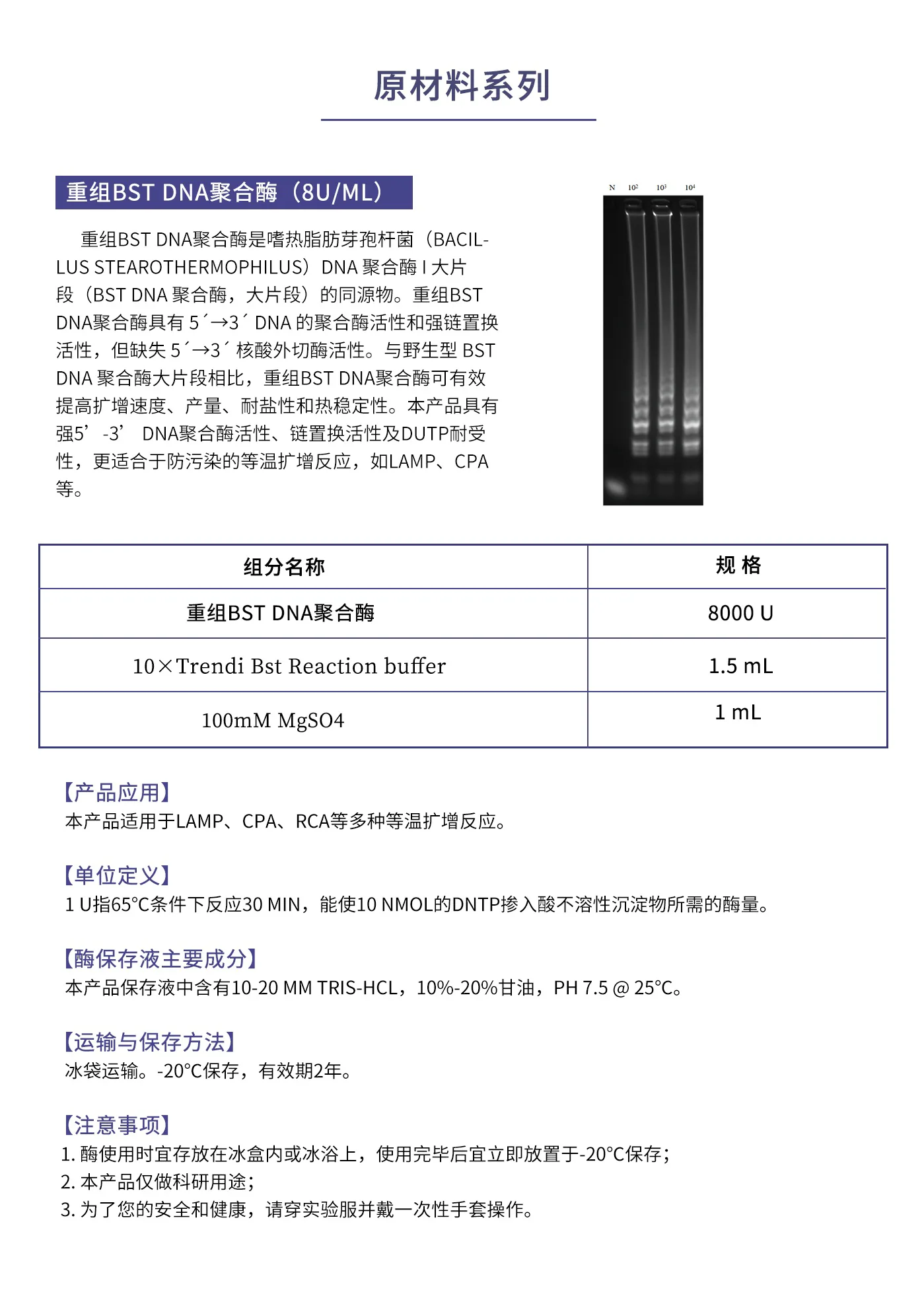 1.重组Bst-DNA聚合酶.webp